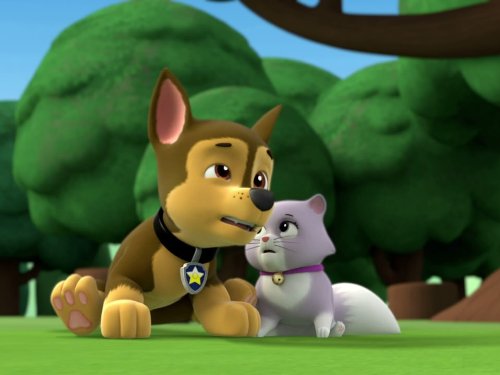 Algopix Similar Product 13 - Pups and the KittytastrophePups Save