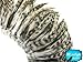 Algopix Similar Product 17 - Rooster Feathers Natural Grey