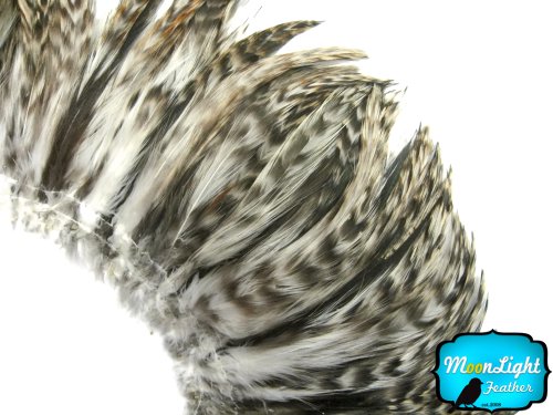 Algopix Similar Product 12 - Rooster Feathers Natural Grey