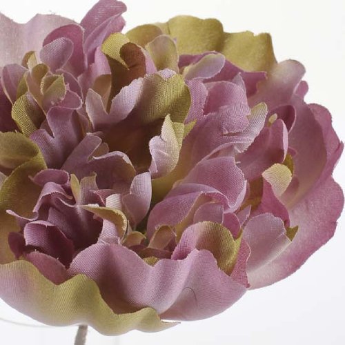 Algopix Similar Product 13 - Package of 12 Romantic Peony Floral