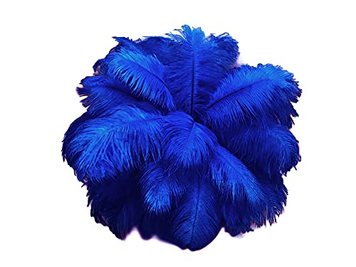 Algopix Similar Product 4 - 12 Lb  1719 Royal Blue Large