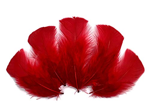 Algopix Similar Product 11 - 14 Lb  Red Dyed Turkey TBase Body