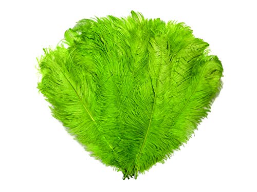 Algopix Similar Product 1 - 12 Lb  1824 Lime Green Large