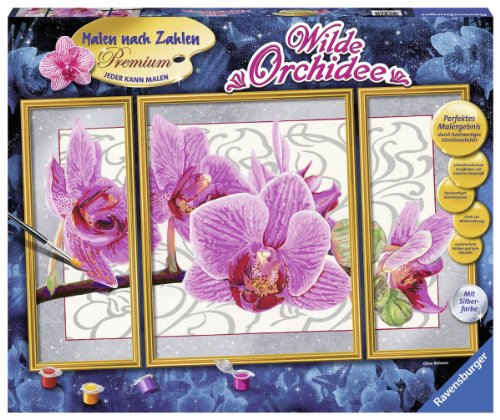 Algopix Similar Product 20 - Ravensburger 28969 1 Paint by Numbers