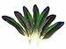 Algopix Similar Product 8 - 4 Pieces TriColor Amazon Parrot Wing