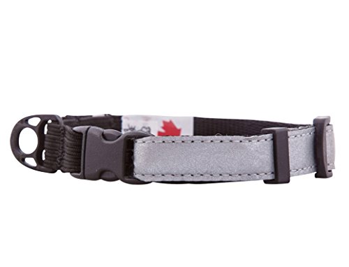 Algopix Similar Product 6 - RC Pet Products 12Inch Wide Kitty