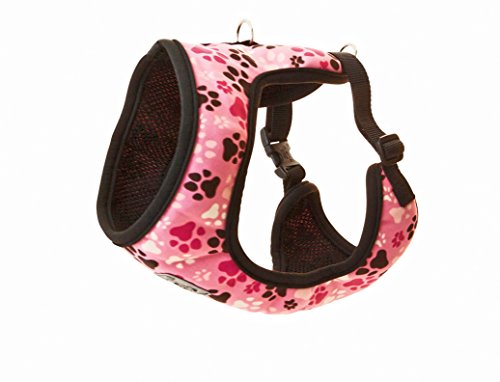 Algopix Similar Product 19 - RC Pet Products Cirque Soft Walking Dog