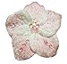 Algopix Similar Product 7 - Cuteque International 6Piece Pack Soft