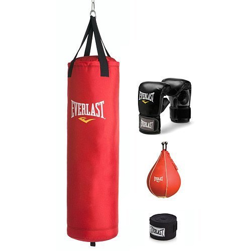 Algopix Similar Product 10 - Everlast BOXING TRAINING KIT