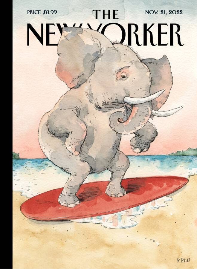 Algopix Similar Product 12 - The New Yorker