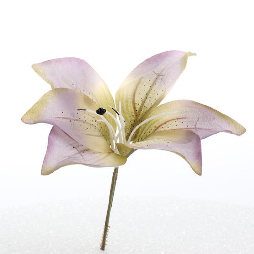 Algopix Similar Product 6 - 1 Dozen Soft Flowy Spring Lavender and