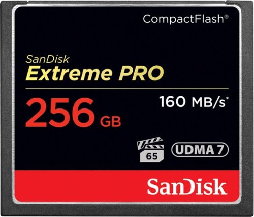 Algopix Similar Product 3 - SanDisk Extreme Pro 256 GB CompactFlash
