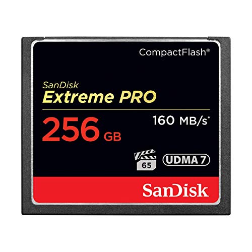 Algopix Similar Product 7 - SanDisk Extreme Pro 256 GB CompactFlash