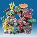 Algopix Similar Product 12 - Instant Reef DM037PNP Large Artificial