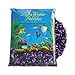 Algopix Similar Product 3 - Pure Water Pebbles Blakberry Glo