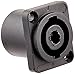Algopix Similar Product 13 - Seismic Audio SAPT240 4 Pole SpeakOn