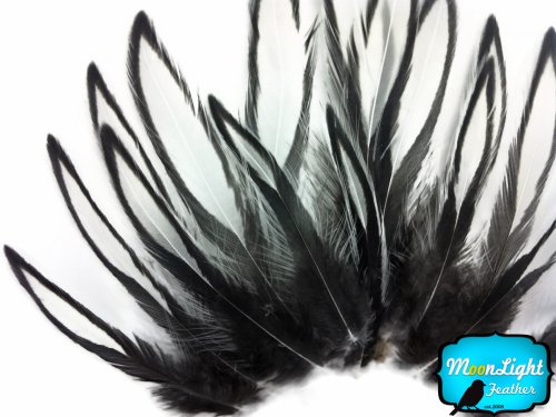 Algopix Similar Product 15 - Hen Feathers Laced Hen  Natural White