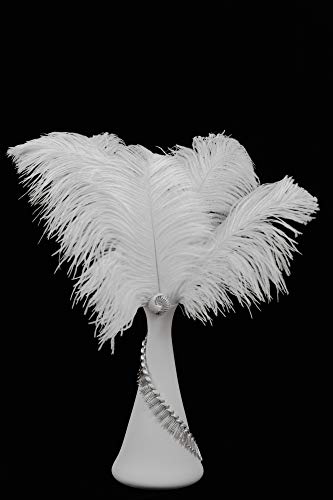 Algopix Similar Product 5 - Moonlight Feather  12 Lb  913 Off