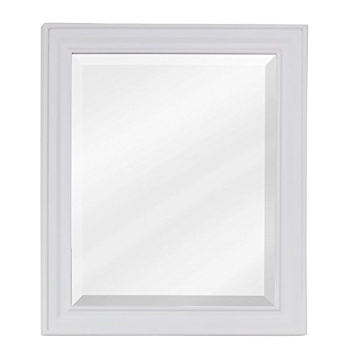 Algopix Similar Product 6 - Elements Douglas Mirror in White
