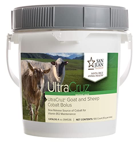 Algopix Similar Product 11 - UltraCruz sc394536 Goat and Sheep