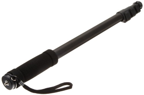 Algopix Similar Product 3 - Amazon Basics 67-Inch Monopod, Black