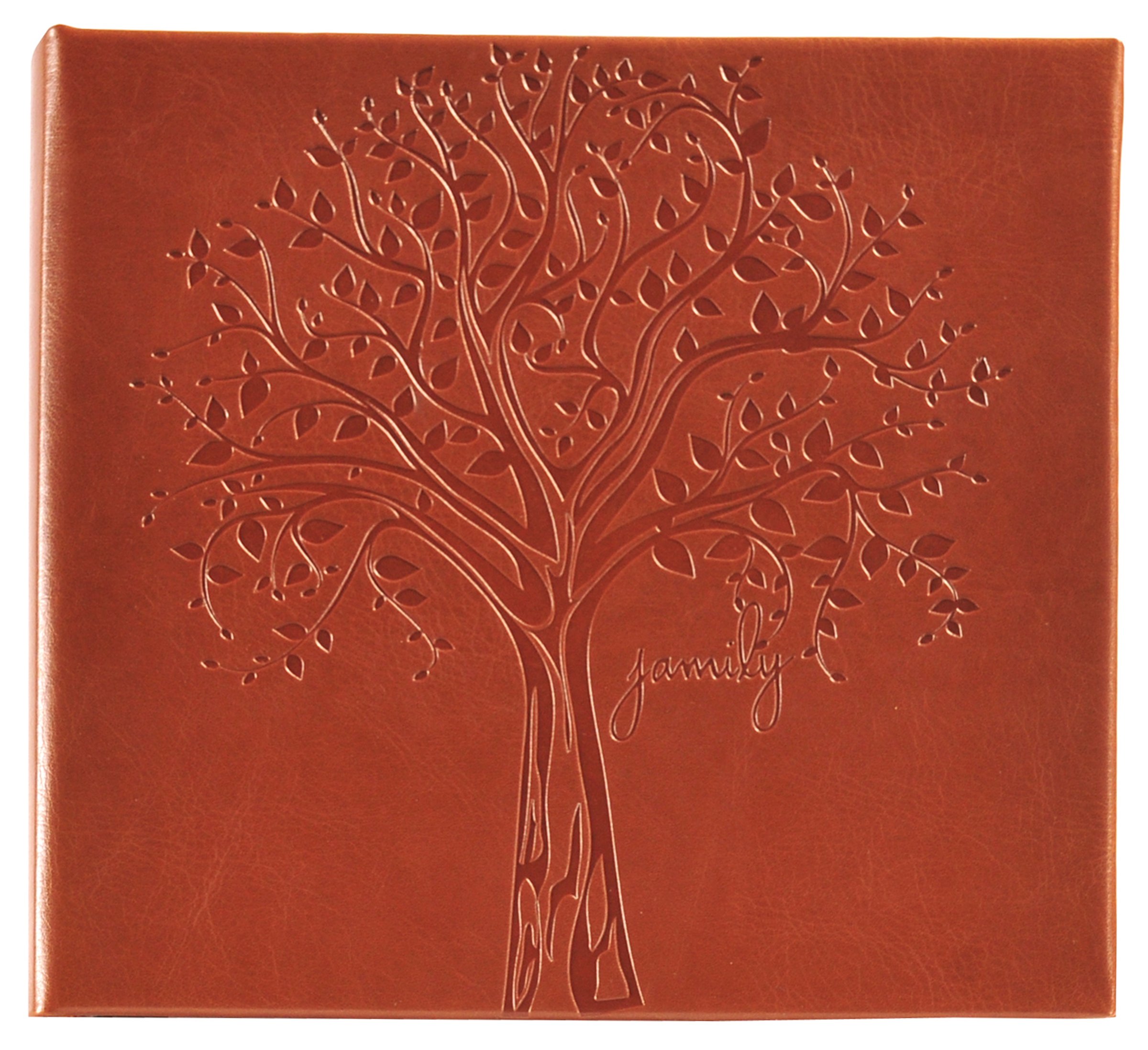 Algopix Similar Product 5 - Pinnacle Frames and Accents Family Tree