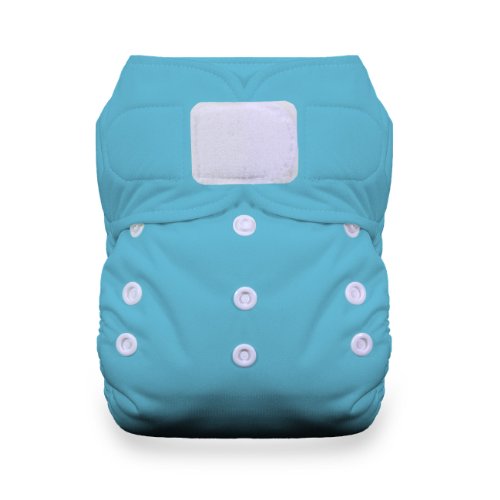 Algopix Similar Product 16 - Thirsties Duo All in One Cloth Diaper