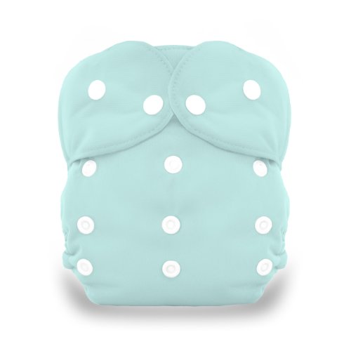 Algopix Similar Product 11 - Thirsties Duo All In One Snap Diaper