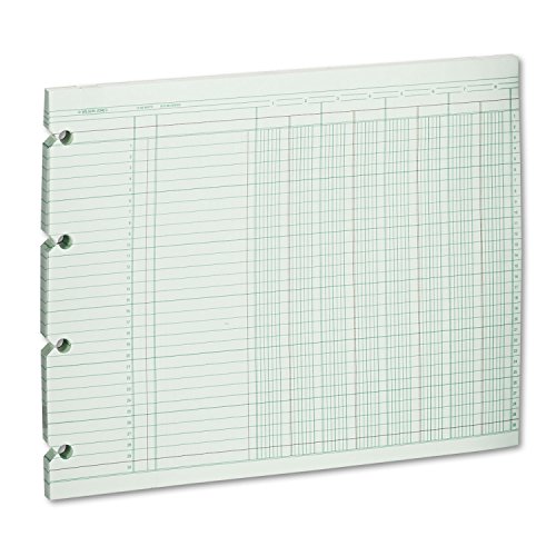 Algopix Similar Product 18 - WLJG108 - Wilson Jones Accounting Sheets