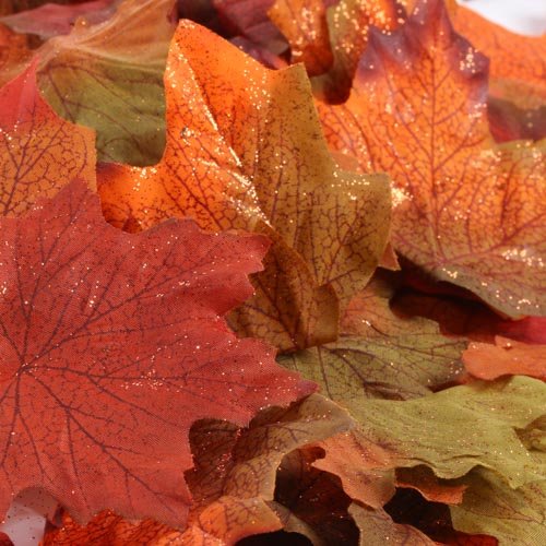 Algopix Similar Product 6 - Factory Direct Craft Autumn Splendour