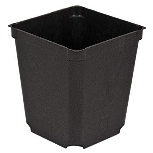 Algopix Similar Product 14 - McConkey Square Nursery Pot, Case of 60