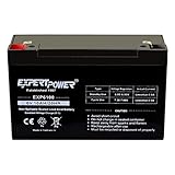 Algopix Similar Product 7 - ExpertPower 6V 10AH Sealed Lead Acid