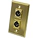 Algopix Similar Product 10 - Seismic Audio SAPLATE18 Gold Stainless