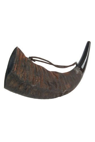 Algopix Similar Product 7 - DOBANI Large Water Buffalo Horn Natural