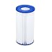 Algopix Similar Product 16 - Bestway Flowclear Type III Filter