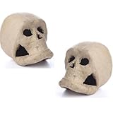 Algopix Similar Product 17 - Set of 2 Paper Mache Skulls  Decorate