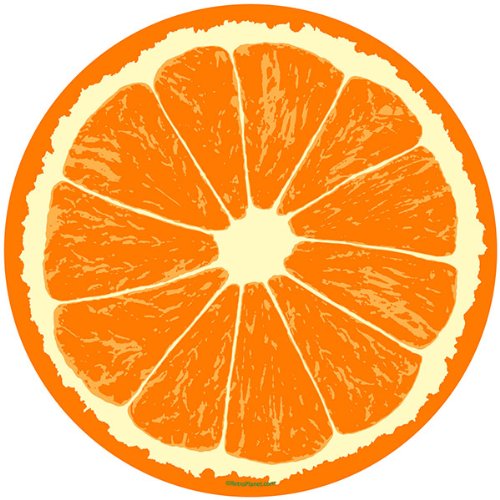 Algopix Similar Product 15 - Orange Fruit Slice Citrus Kitchen Wall