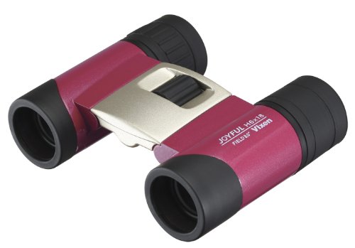 Algopix Similar Product 19 - Vixen Optics 12746 Joyful H6 x 18mm DCF