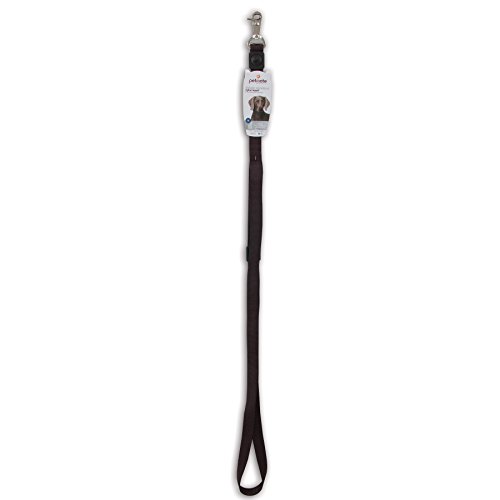 Algopix Similar Product 10 - Petmate Signature Deluxe Leash Coal 1