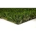 Algopix Similar Product 20 - Classic Premium 65 Fescue 15 ft x Your