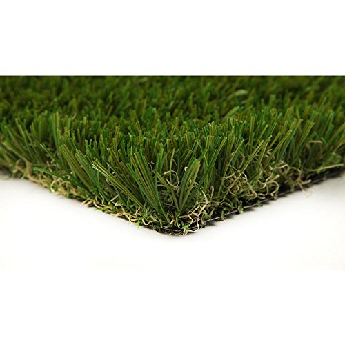 Algopix Similar Product 1 - Classic Premium 65 Fescue 15 ft x Your