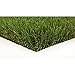 Algopix Similar Product 3 - Classic Pro 82 Fescue 15 ft x Your