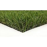 Algopix Similar Product 8 - Classic Pro 82 Fescue 15 ft x Your