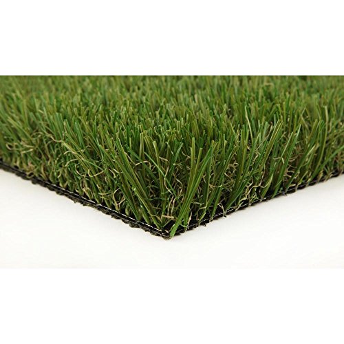 Algopix Similar Product 19 - Classic Pro 82 Fescue 15 ft x Your