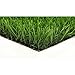 Algopix Similar Product 10 - GREENLINE Classic Premium 65 Spring 15