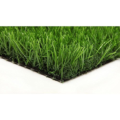 Algopix Similar Product 13 - GREENLINE Classic Premium 65 Spring 15