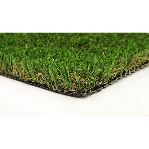 Algopix Similar Product 16 - PetSport 60 15 ft x Your Length