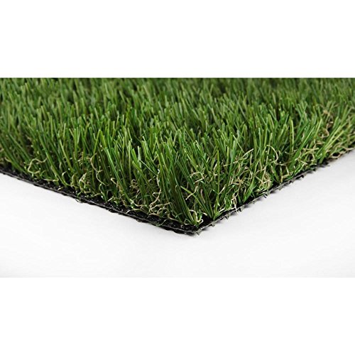 Algopix Similar Product 1 - GREENLINE Classic 54 Fescue 15 ft x