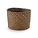 Algopix Similar Product 10 - Compactor Mika Basket, Caramel