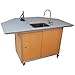 Algopix Similar Product 2 - Monsam PSE2040 Portable Science Lab